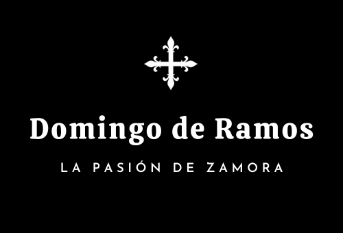 Itinerario Procesiones Domingo de Ramos Semana Santa de zamora 2025