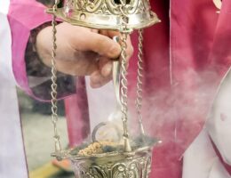 Domingo de Ramos Zamora procesion bendicion palamas