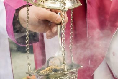 Domingo de Ramos Zamora procesion bendicion palamas