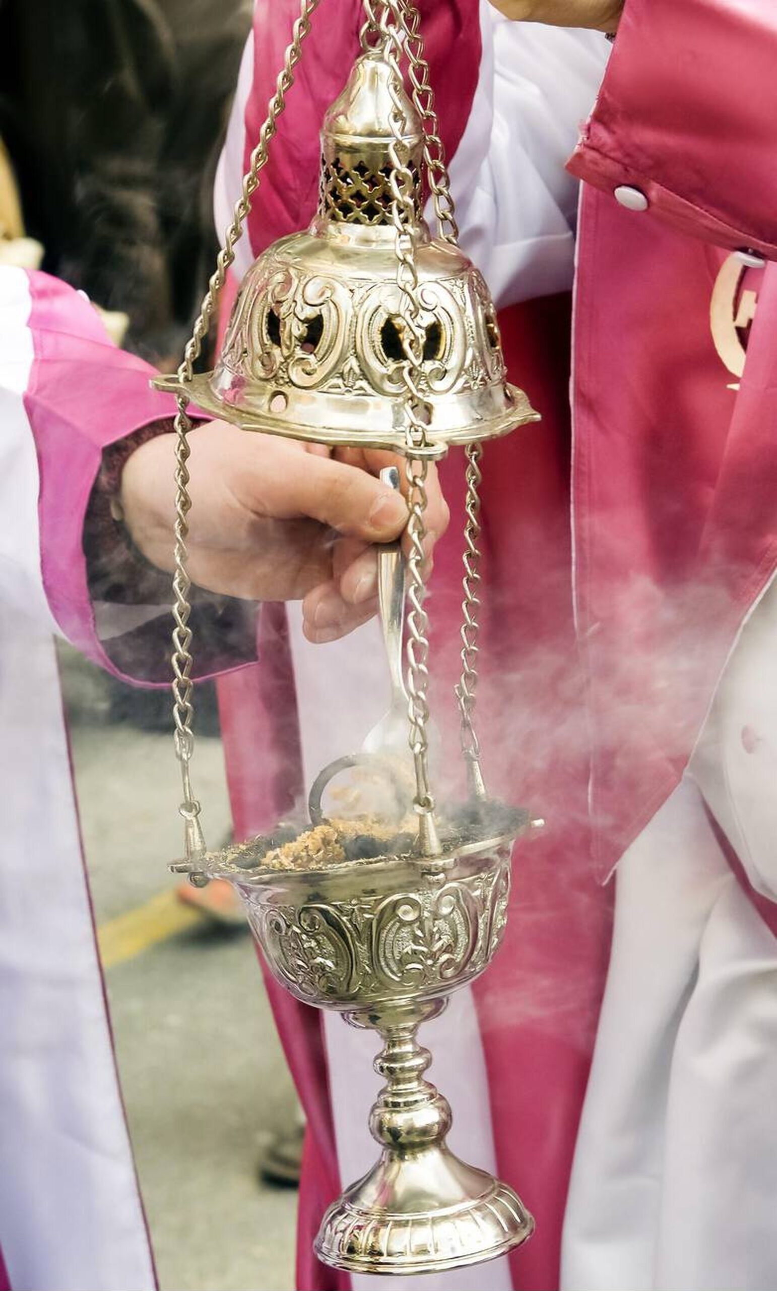 Domingo de Ramos Zamora procesion bendicion palamas